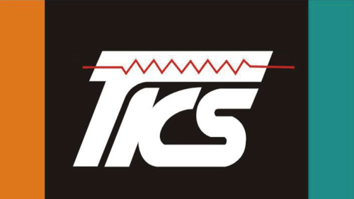 Thinking Electronic Logo.jpg